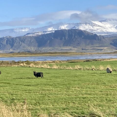 A peaceful summer day