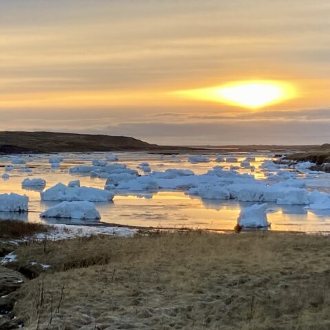Our lagoon, cradled in winter icebergs