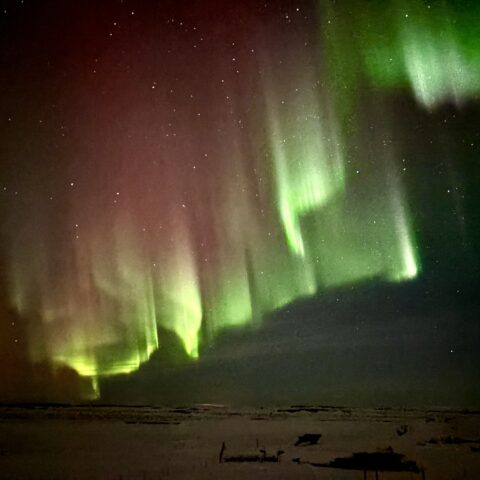 Dancing northern lights above the fjord